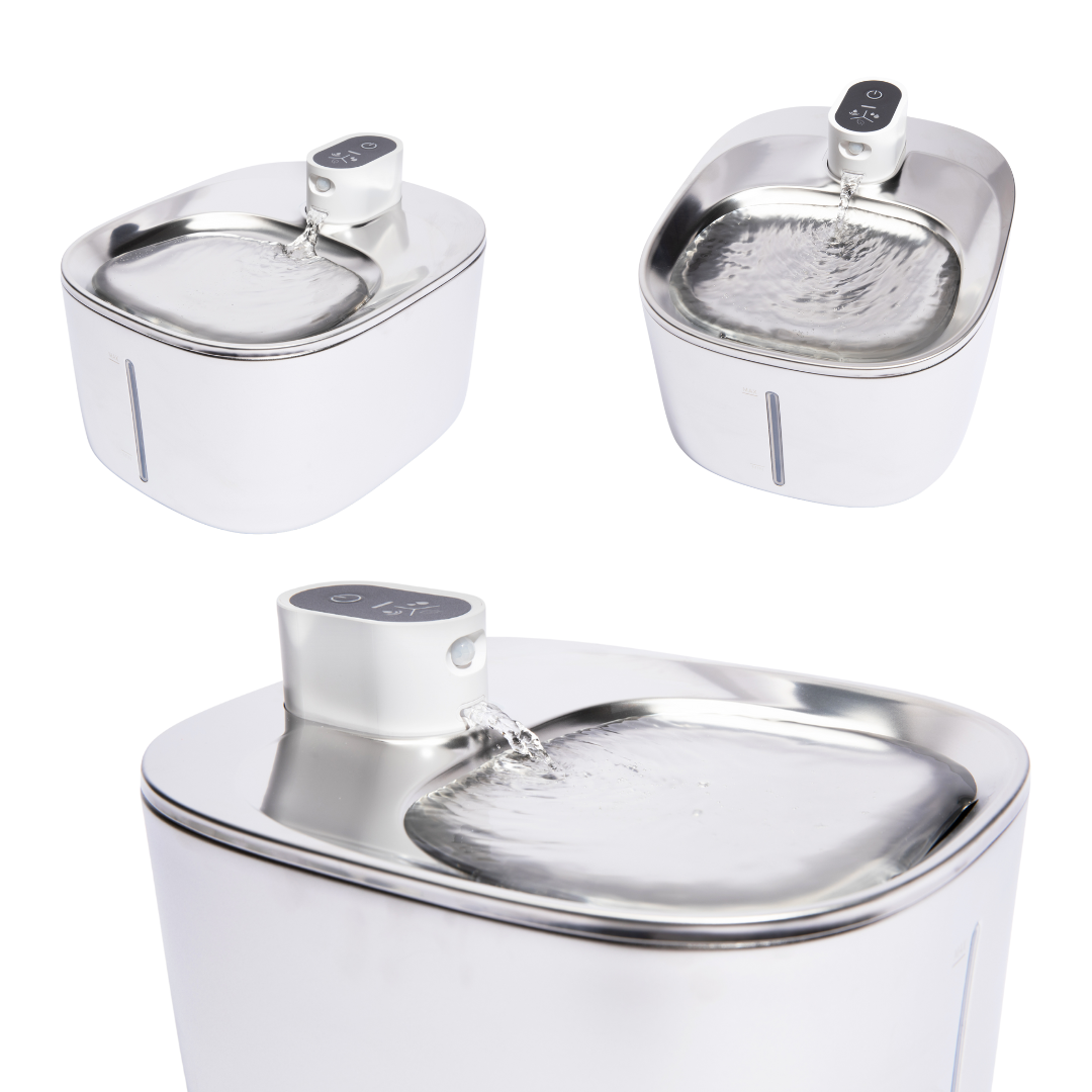 PureFlow Filtered Water Fountain – Fresh, filtered water your cat actually wants to drink